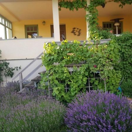 Ferienhaus Schiller Варен Экстерьер фото